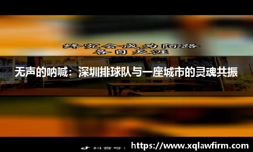 风云体育