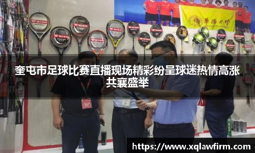 风云足球