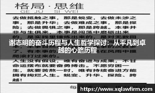 风云体育