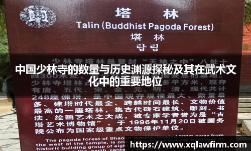 风云足球